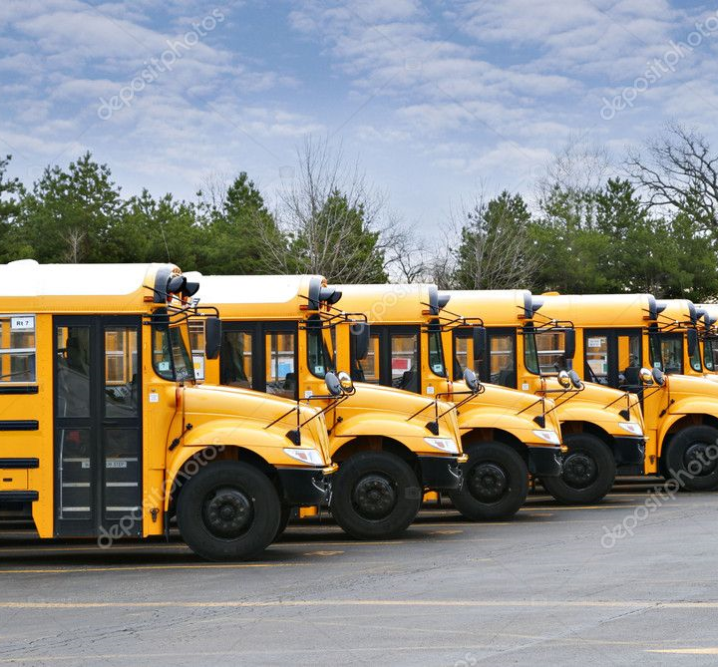 school bus Overview